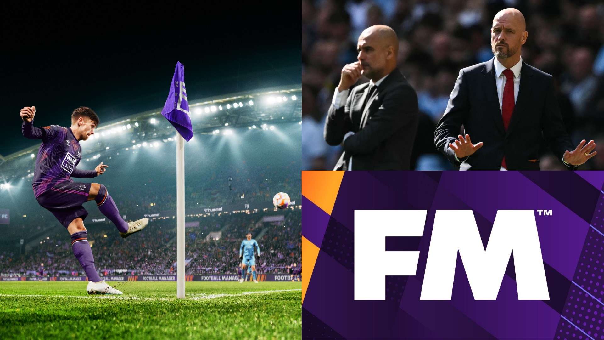 主教练科尔 主教练科尔